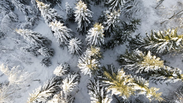 God jul och gott nytt år