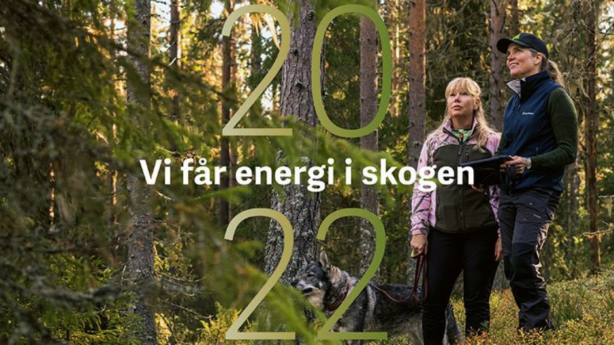 Vi får energi i skogen