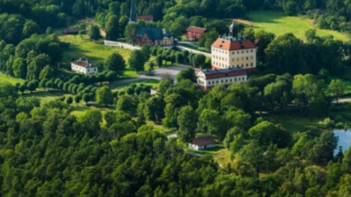 Skoglig förvaltning