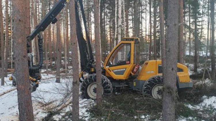 Skogsdag med tema gallring