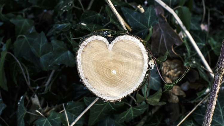 INSTÄLLT. Juridik & Romantik