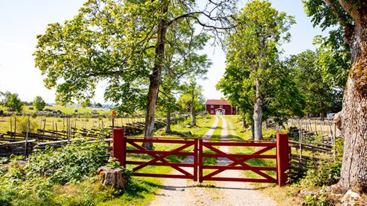 Fastighetsförmedling