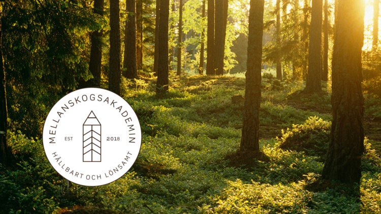 Webbinarium: Skog, ekonomi och lönsamhet
