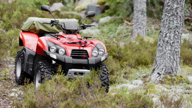 Skogsdag i Gropens by Skeberg, Leksand