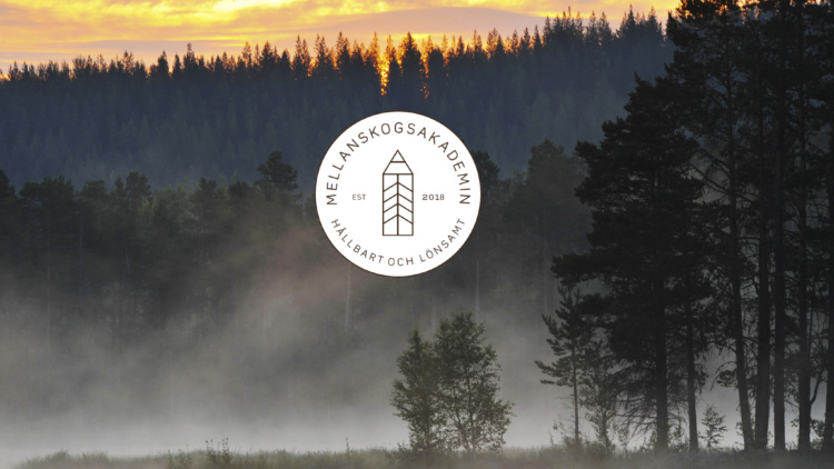Mellanskogsakademin: Det är kul att äga skog!