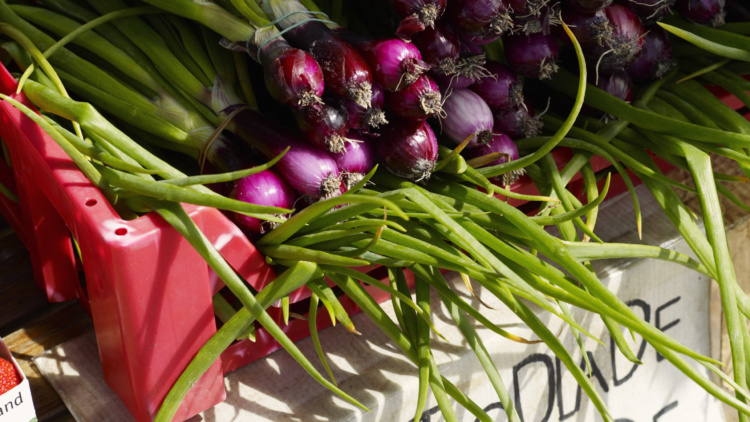 Träffa Mellanskog på Bondemarknaden