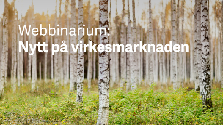 Webbinarium: Nytt på virkesmarknaden