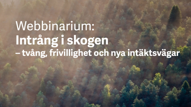 Webbinarium: Intrång i skogen