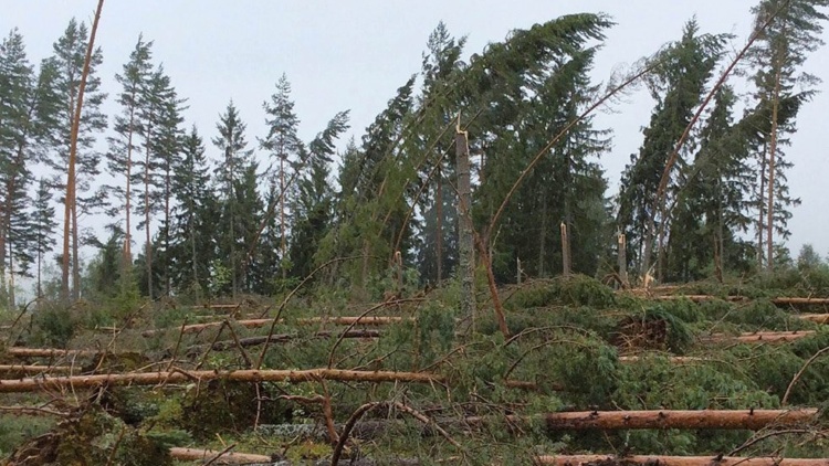 Digitalt informationsmöte om stormen Johannes