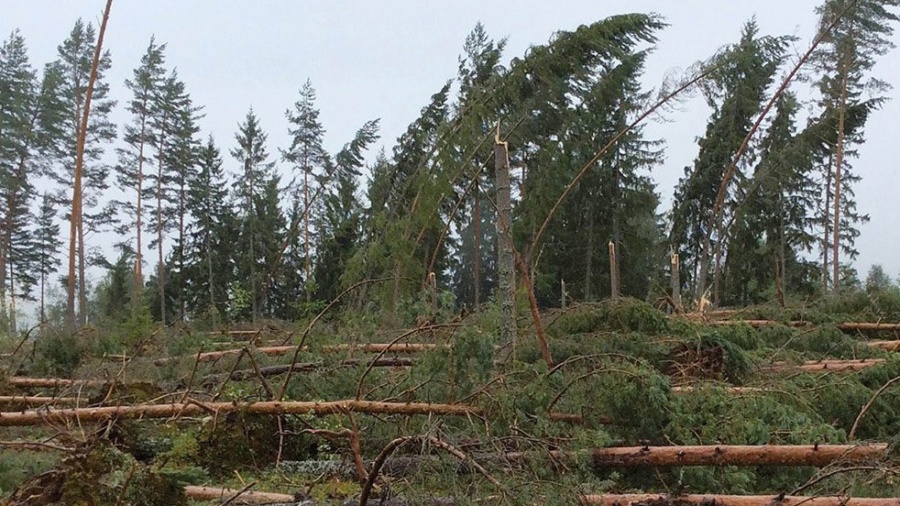 Stormen Johannes – Information till Mellanskogs medlemmar