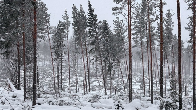 Informationsträff i Mora om stormen Johannes