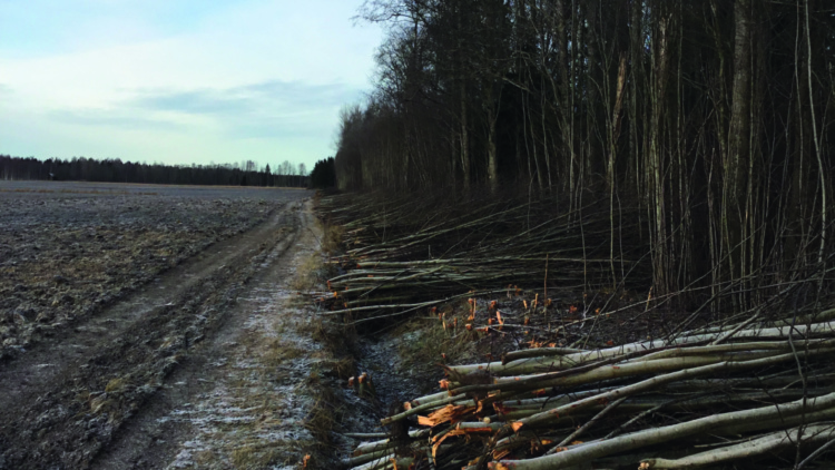 Dags att klippa längst dina skogsbilvägar eller åkerkanter?