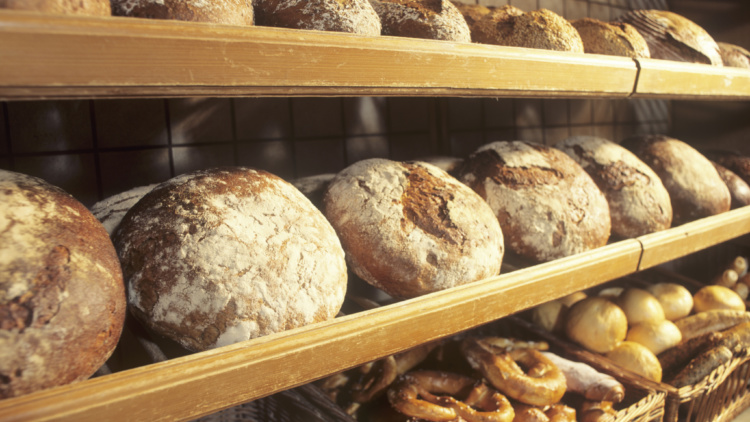 Skogsägarträff för kvinnor 