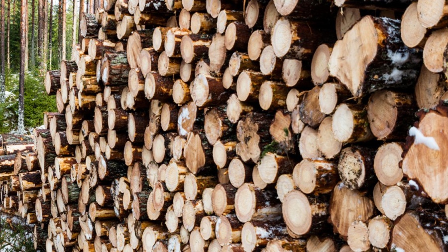 Mellanskog sänker virkespriserna