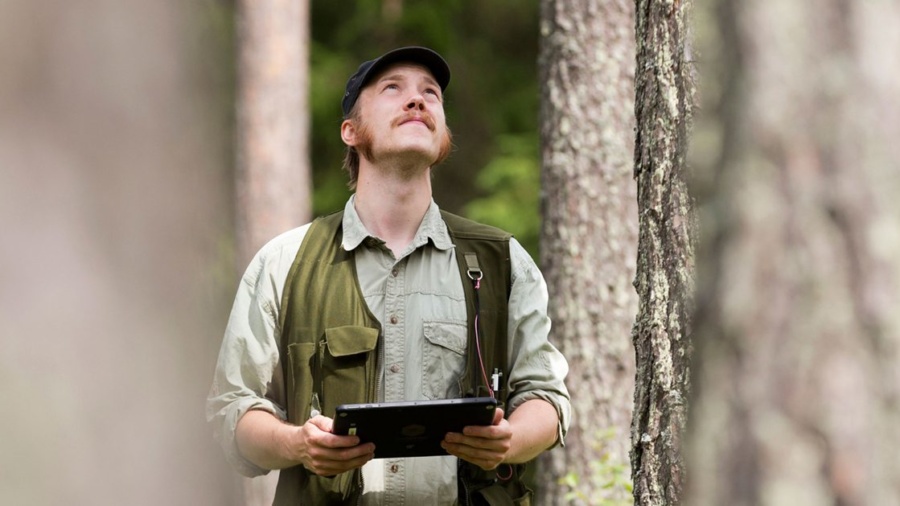 Beställ digital skogsskötselplan i Skogstorget