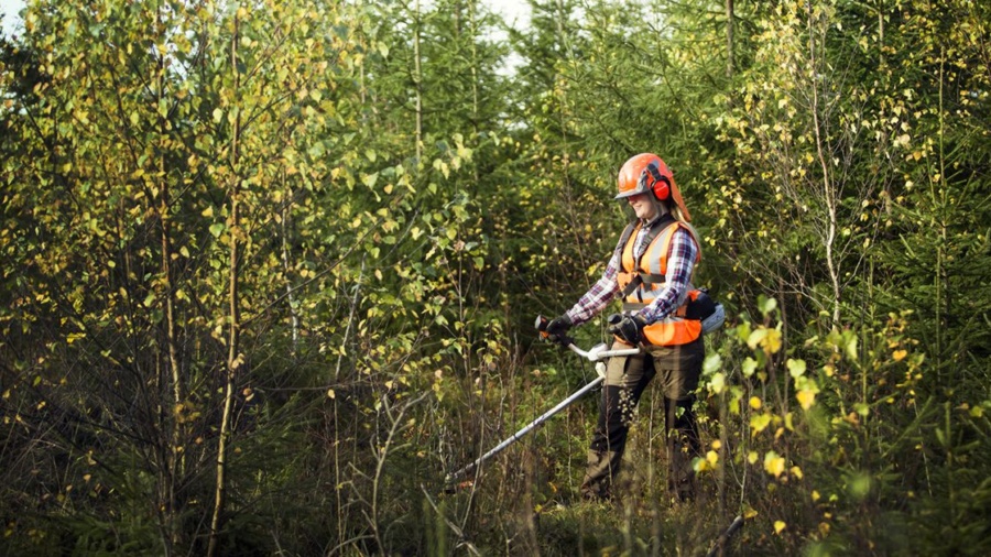 Nu kan fler beställa röjning i Skogstorget