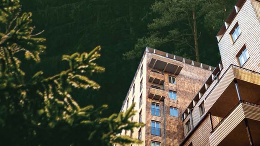 Vi förädlar skogen – och stärker familjeskogsbruket