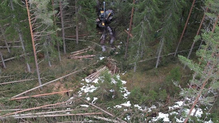 Träff i spåren av stormen Johannes
