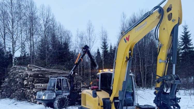 Skogsdag med tema småskalighet