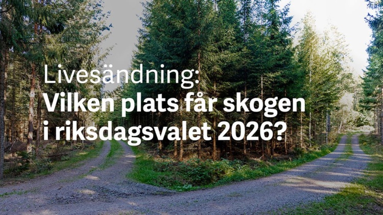 Livesändning: Vilken plats får skogen i valet 2026?