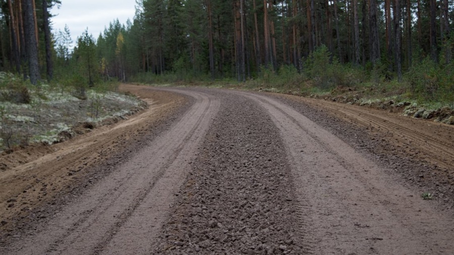 Akut vägläge efter stormen – Mellanskog vill se åtgärder