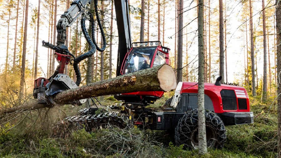 Mellanskog kraftsamlar efter stormen