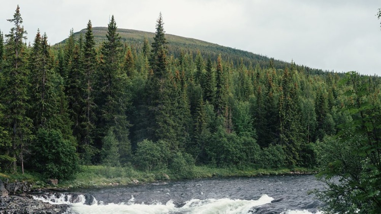 Välkommen på vandring och föreläsning i Funäsdalen!
