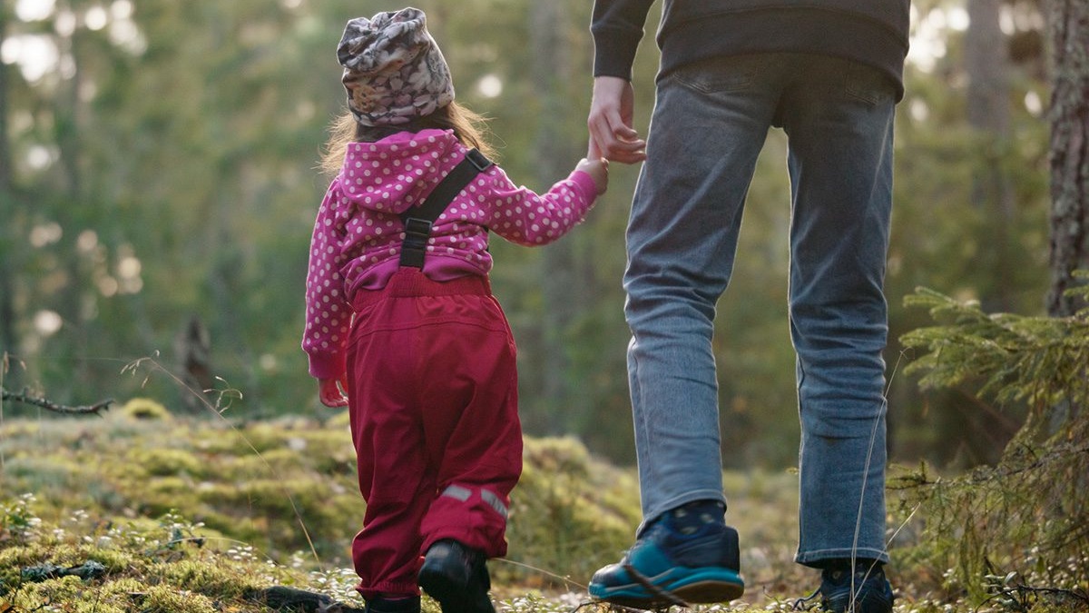 För ett starkare familjeskogsbruk