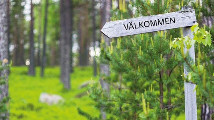Har du mycket vindfällen på din skogsfastighet?