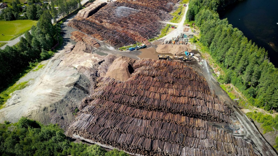 Mellanskog redovisar ett stabilt andra kvartal
