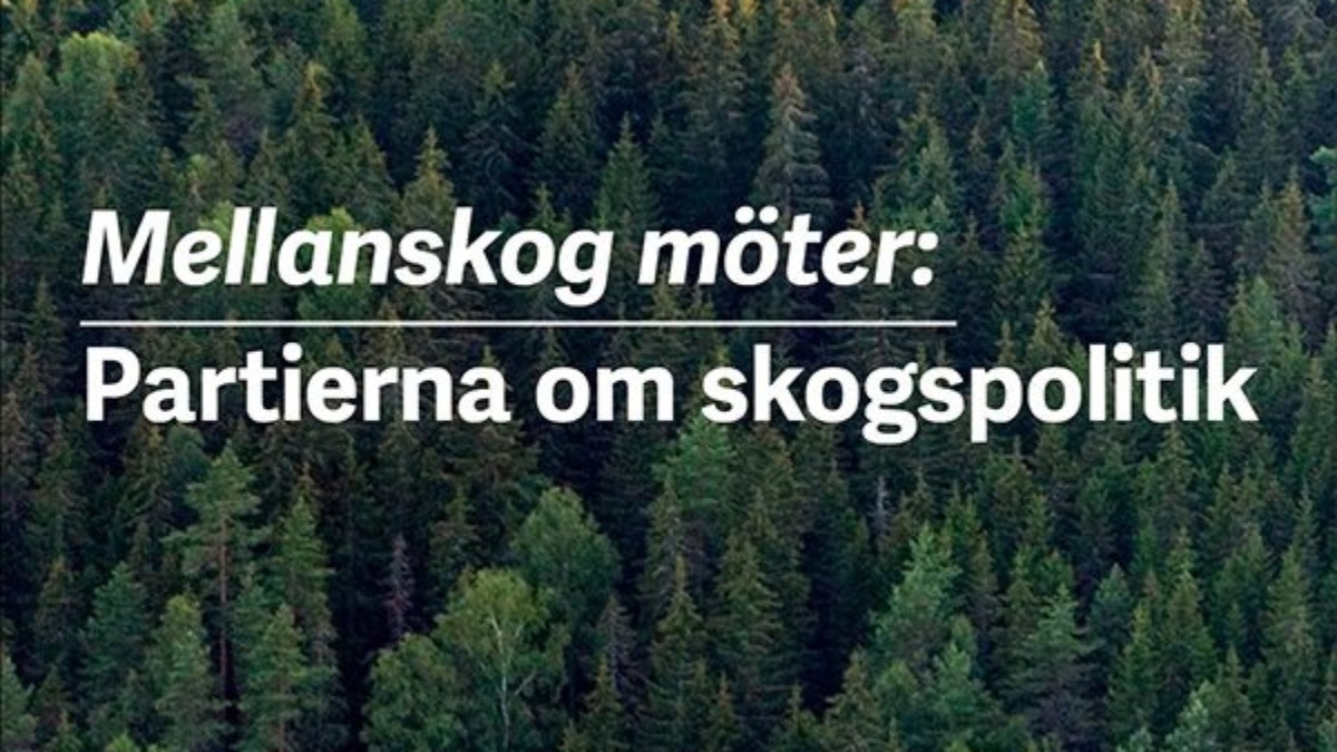Vad tycker partierna om skogen?