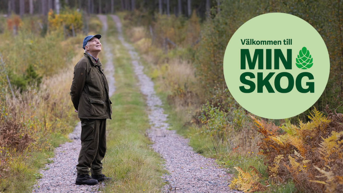 Välkommen till min skog